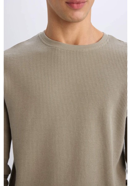 Boxy Fit Bisiklet Yaka Pamuklu Basic Düz Kısa Kollu Tişört D7504AX25SP