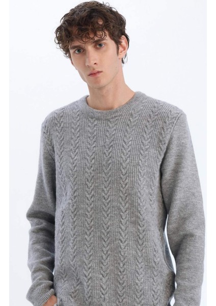 Standart Fit Bisiklet Yaka Triko Kazak E1007AX24WN