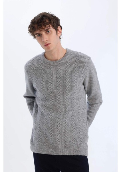 Standart Fit Bisiklet Yaka Triko Kazak E1007AX24WN