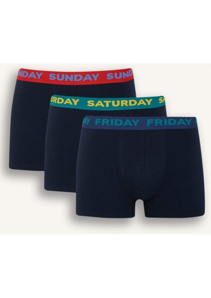 Regular Fit 3'lü Boxer D9873AX25SP