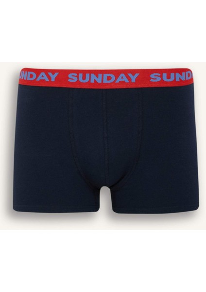 Regular Fit 3'lü Boxer D9873AX25SP