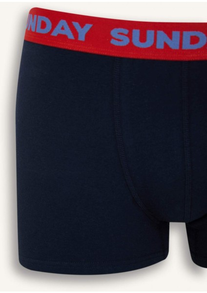 Regular Fit 3'lü Boxer D9873AX25SP