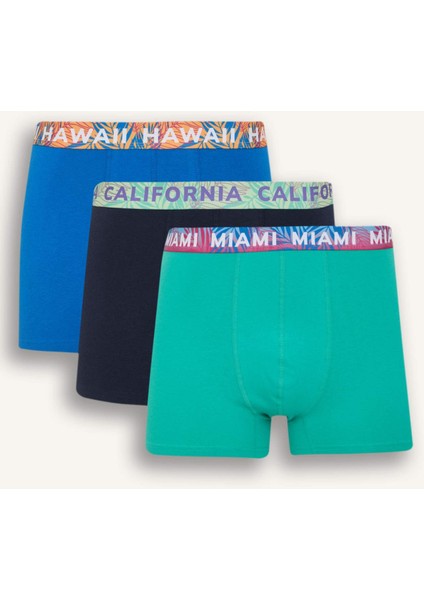 Regular Fit 3'lü Boxer D9874AX25SP