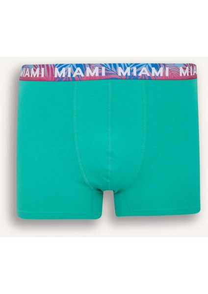 Regular Fit 3'lü Boxer D9874AX25SP