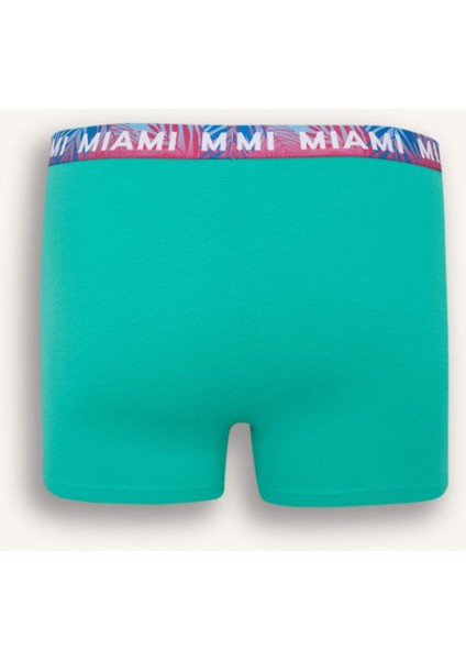 Regular Fit 3'lü Boxer D9874AX25SP