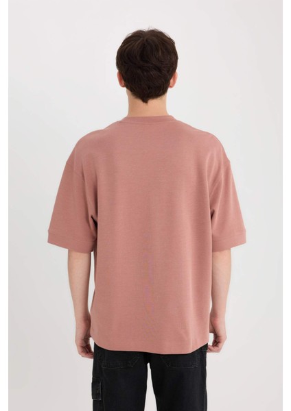 Loose Fit Bisiklet Yaka Baskılı Ağır Kumaş Tişört D8462AX25SP