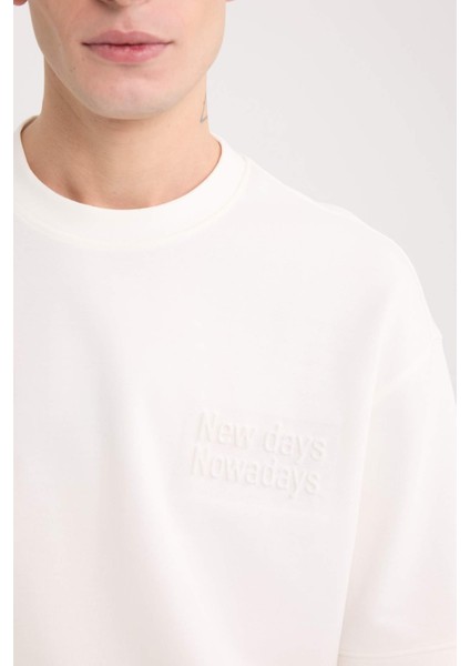 Loose Fit Bisiklet Yaka Baskılı Kısa Kollu Ağır Kumaş Tişört D5756AX25SP