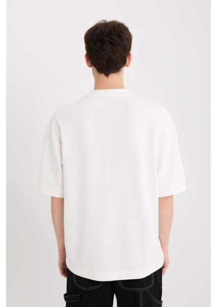 Loose Fit Bisiklet Yaka Baskılı Kısa Kollu Ağır Kumaş Tişört D5756AX25SP