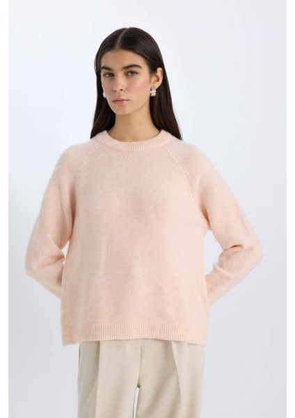 Regular Fit Bisiklet Yaka Triko Kazak D0035AX24WN