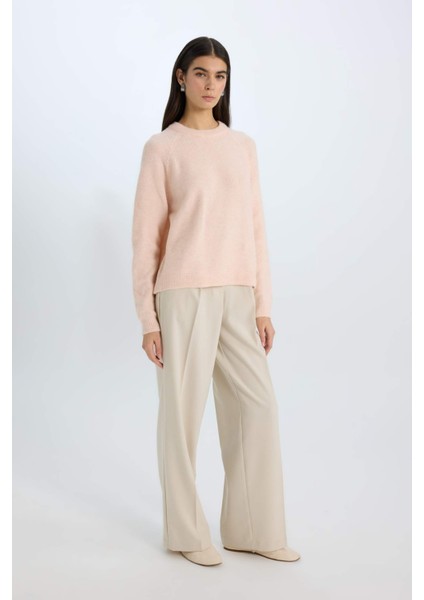 Regular Fit Bisiklet Yaka Triko Kazak D0035AX24WN