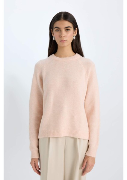 Regular Fit Bisiklet Yaka Triko Kazak D0035AX24WN