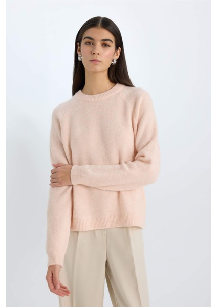 Regular Fit Bisiklet Yaka Triko Kazak D0035AX24WN