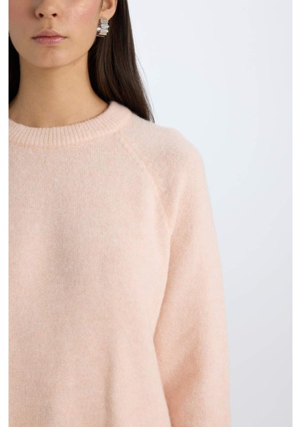 Regular Fit Bisiklet Yaka Triko Kazak D0035AX24WN