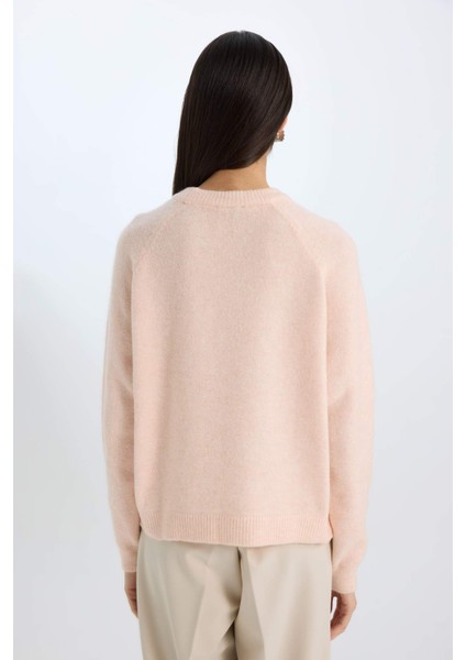 Regular Fit Bisiklet Yaka Triko Kazak D0035AX24WN