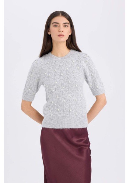 Regular Fit Bisiklet Yaka Basic Düz Yarım Kollu Triko Kazak D6205AX24WN