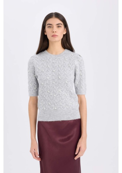 Regular Fit Bisiklet Yaka Basic Düz Yarım Kollu Triko Kazak D6205AX24WN