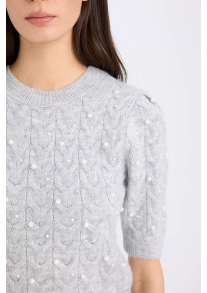 Regular Fit Bisiklet Yaka Basic Düz Yarım Kollu Triko Kazak D6205AX24WN