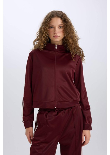 Oversize Geniş Kalıp Cepli Fermuarlı Spor Hırka E1803AX24WN