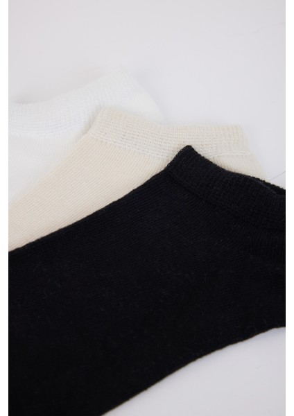 Kadın 3'lü Pamuklu Patik Çorap