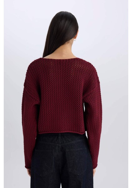 Relax Fit Bisiklet Yaka Düğmeli Örgü Desenli Triko Hırka E1962AX24WN