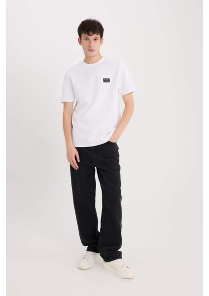 Regular Fit Bisiklet Yaka Ütü Gerektirmeyen Nefes Alabilen Baskılı Kısa Kollu Ağır Kumaş Tişört D5516AX25SP