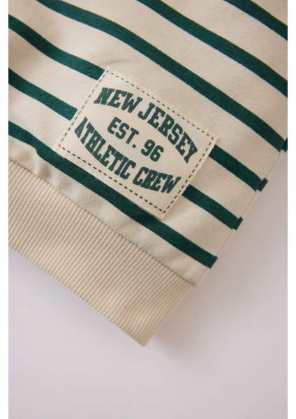 Erkek Bebek Bisiklet Yaka Çizgili Sweatshirt E0280A525SP