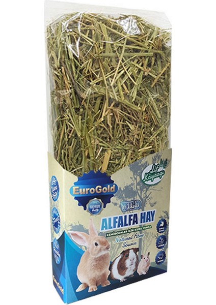 Zengezur Eurogold Kemirgenler Için Yeşil Yonca