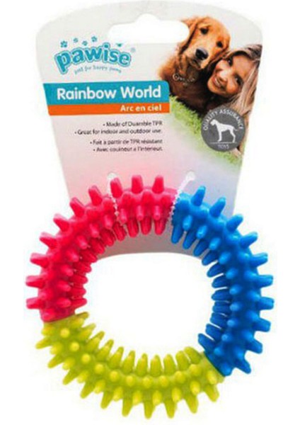 Zengezur Pawise Rainbow World - Coronule M
