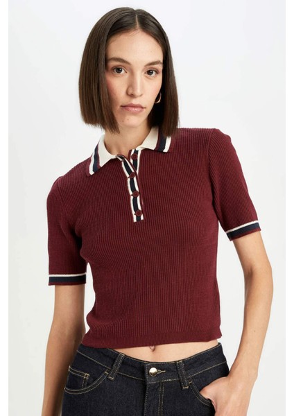 Regular Fit Düğmeli Polo Yaka Kısa Kollu Bordo Triko Kazak D4233AX24AU