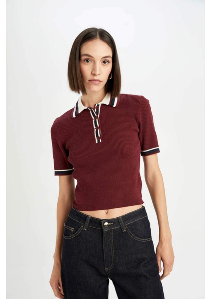 Regular Fit Düğmeli Polo Yaka Kısa Kollu Bordo Triko Kazak D4233AX24AU
