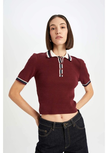 Regular Fit Düğmeli Polo Yaka Kısa Kollu Bordo Triko Kazak D4233AX24AU