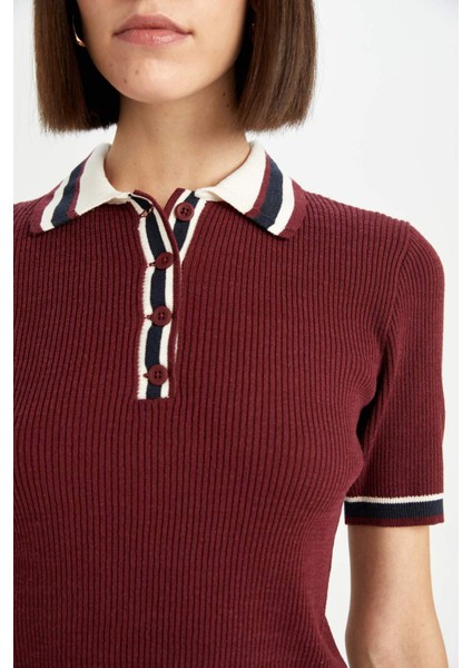 Regular Fit Düğmeli Polo Yaka Kısa Kollu Bordo Triko Kazak D4233AX24AU