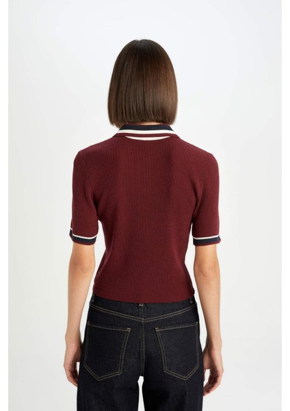Regular Fit Düğmeli Polo Yaka Kısa Kollu Bordo Triko Kazak D4233AX24AU