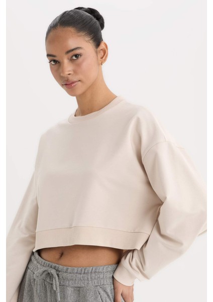 Fit Bisiklet Yaka Basic Düz Sporcu Sweatshirt D7119AX25SP