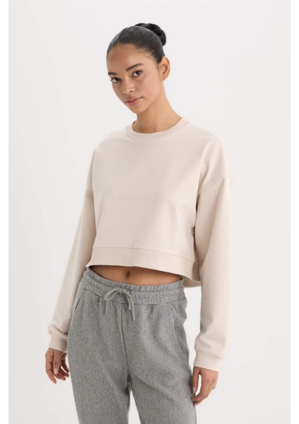 Fit Bisiklet Yaka Basic Düz Sporcu Sweatshirt D7119AX25SP