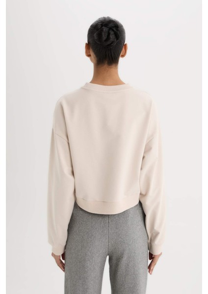 Fit Bisiklet Yaka Basic Düz Sporcu Sweatshirt D7119AX25SP