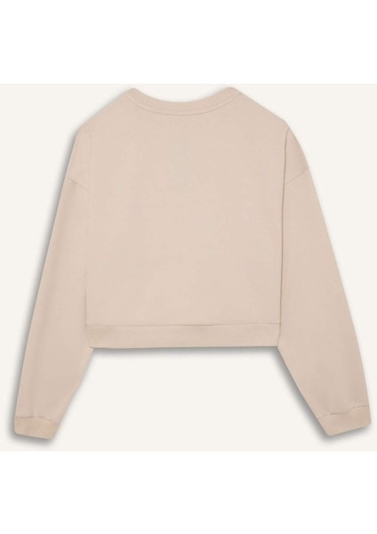 Fit Bisiklet Yaka Basic Düz Sporcu Sweatshirt D7119AX25SP