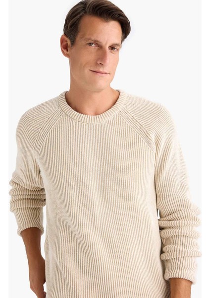 Standart Fit Bisiklet Yaka Triko Kazak E0992AX24WN