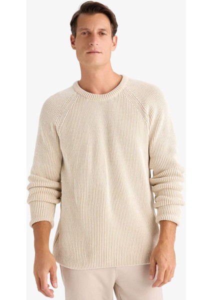 Standart Fit Bisiklet Yaka Triko Kazak E0992AX24WN