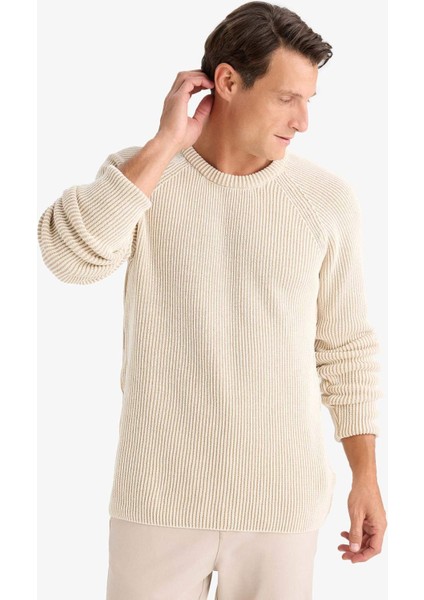 Standart Fit Bisiklet Yaka Triko Kazak E0992AX24WN