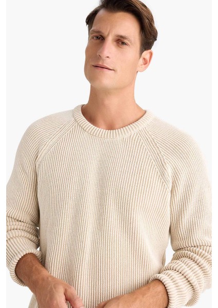 Standart Fit Bisiklet Yaka Triko Kazak E0992AX24WN