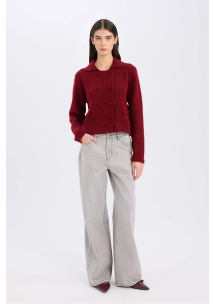 Regular Fit Polo Yaka Basic Düz Düğmeli Triko Hırka E2289AX24WN