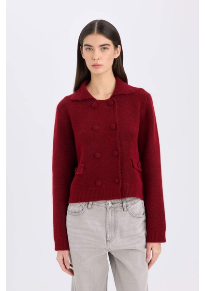 Regular Fit Polo Yaka Basic Düz Düğmeli Triko Hırka E2289AX24WN