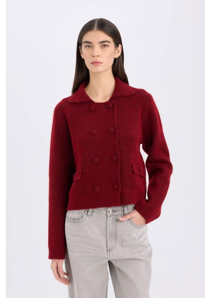 Regular Fit Polo Yaka Basic Düz Düğmeli Triko Hırka E2289AX24WN