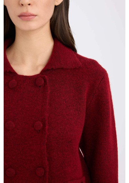 Regular Fit Polo Yaka Basic Düz Düğmeli Triko Hırka E2289AX24WN