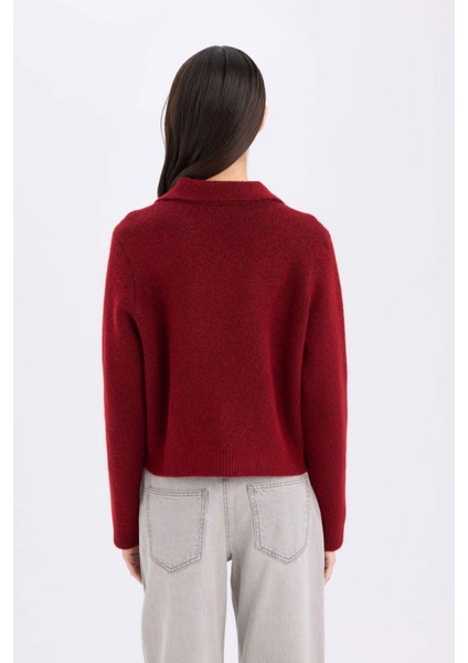 Regular Fit Polo Yaka Basic Düz Düğmeli Triko Hırka E2289AX24WN