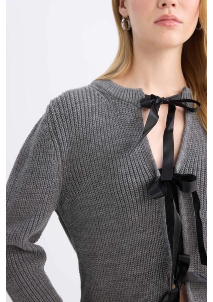 Regular Fit Bisiklet Yaka Bağlamalı Triko Hırka E2271AX24CW