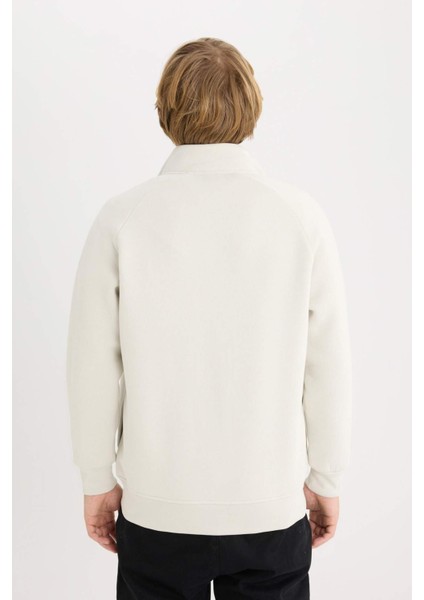 Boxy Fit Dik Yaka Baskılı İçi Yumuşak Tüylü Fermuarlı Sweatshirt E1367AX25SP