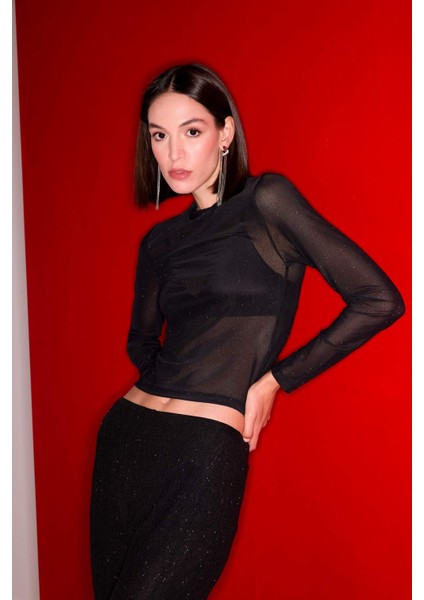 Slim Fit Dar Kesim Yarım Balıkçı Yaka Casual Tül Uzun Kollu Tişört E2373AX24WN