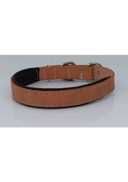 Deri Köpek Boyun Tasması